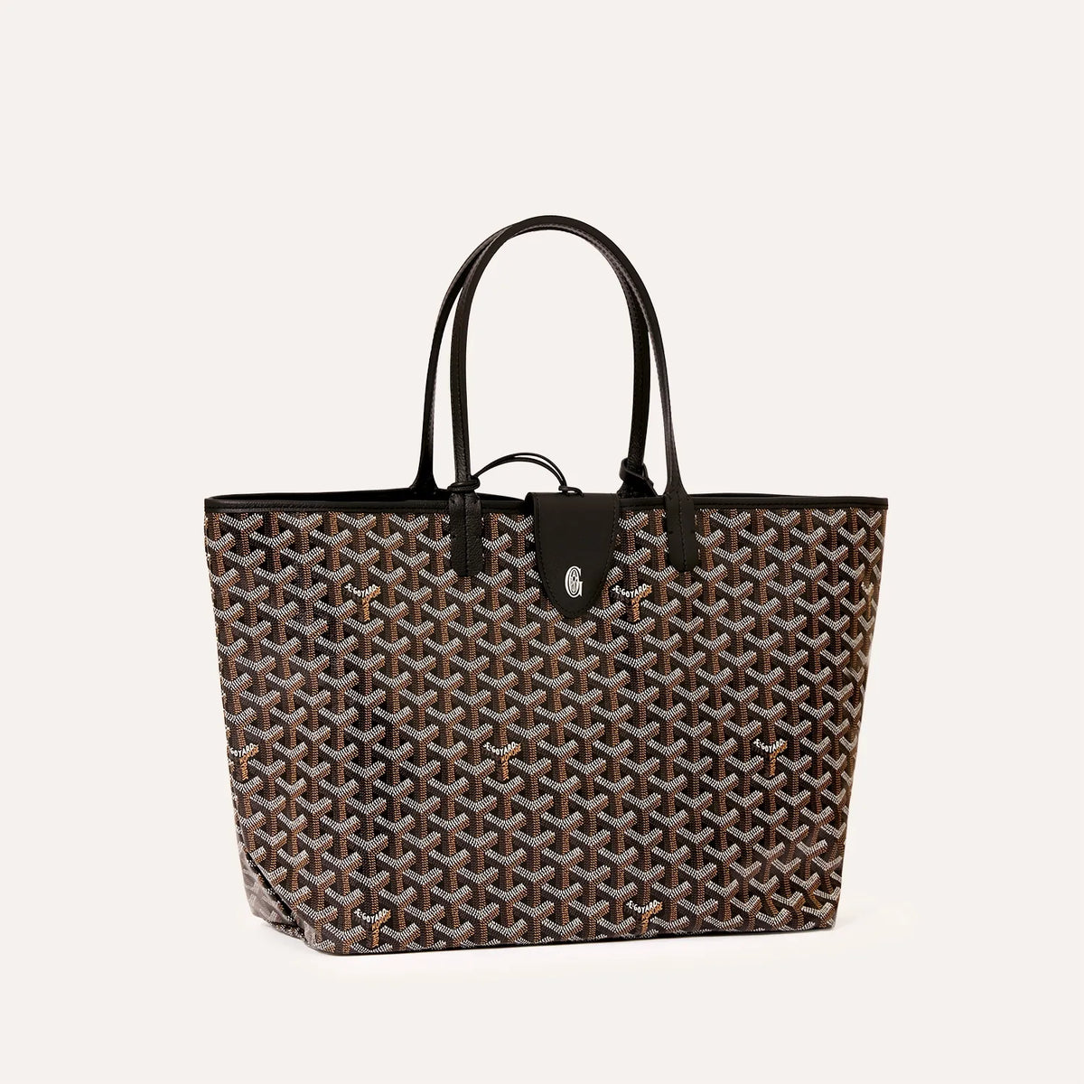 Saint Luis PM Bag