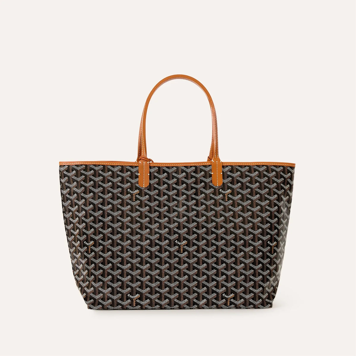 Saint Luis PM Bag