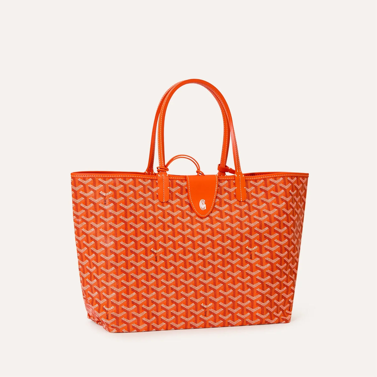 Saint Luis PM Bag