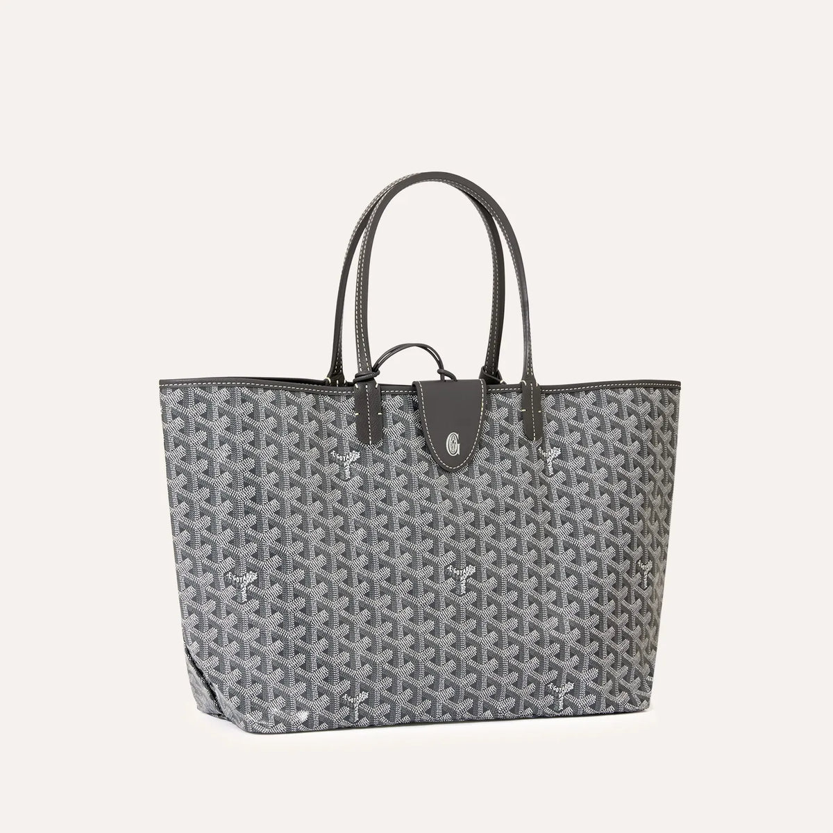 Saint Luis PM Bag