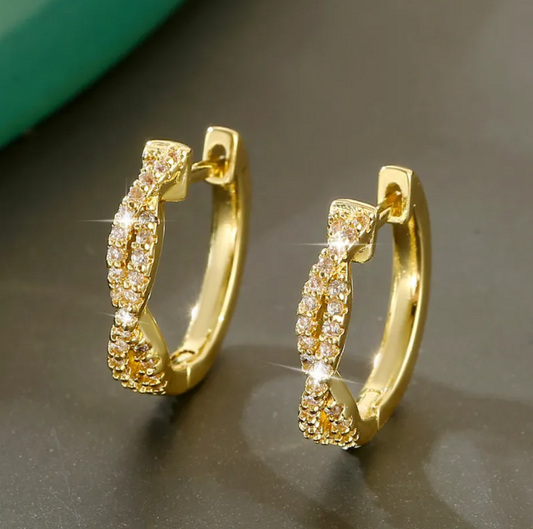 Elegant Braided Earrings