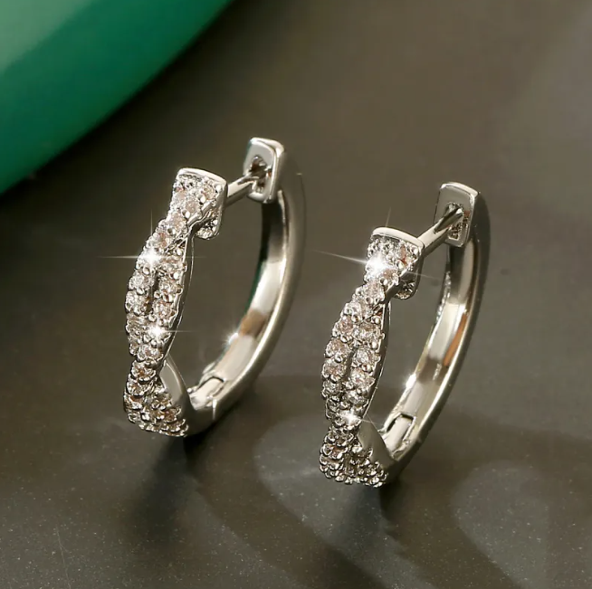 Elegant Braided Earrings